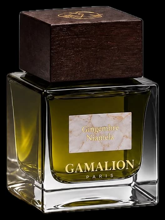 Gingembre Nianiela, Gamalion Paris