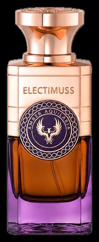 Amber Aquilaria, Electimuss London