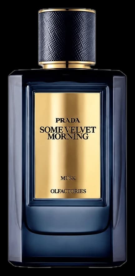 Some Velvet Morning, Prada